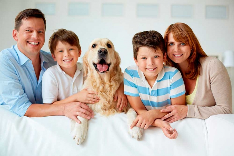 61% dos donos de animais de estimação veem seus pets como um membro da família; gasto mensal é de R$189, em média